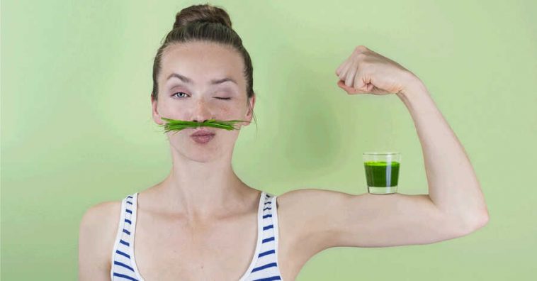 wheatgrass diabetes