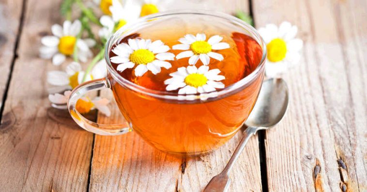 chamomile