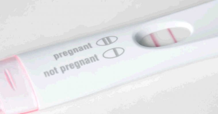 pregnancy-test