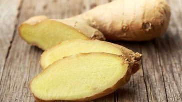 ginger-root